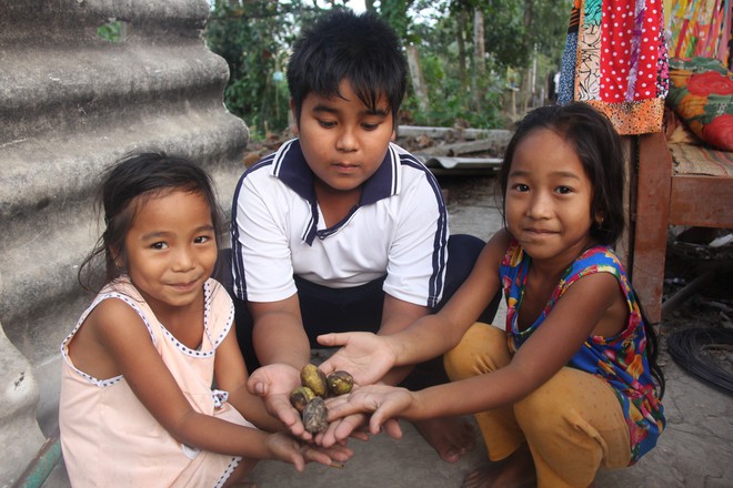 Xót cảnh 3 đứa trẻ không rành tiếng Việt theo bà cố đi lượm trái bàng về bán lấy tiền nuôi bà ngoại khùng - Ảnh 17.