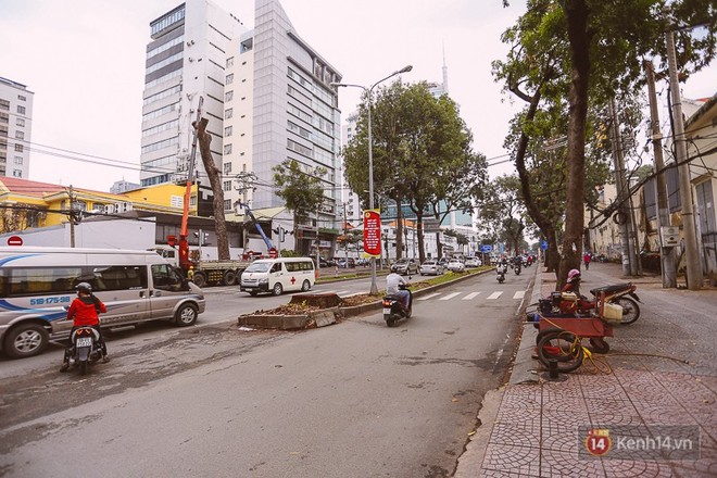 Chùm ảnh: Đường Tôn Đức Thắng trước và sau khi hàng trăm cây xanh bị đốn hạ để phát triển thành phố - Ảnh 15.