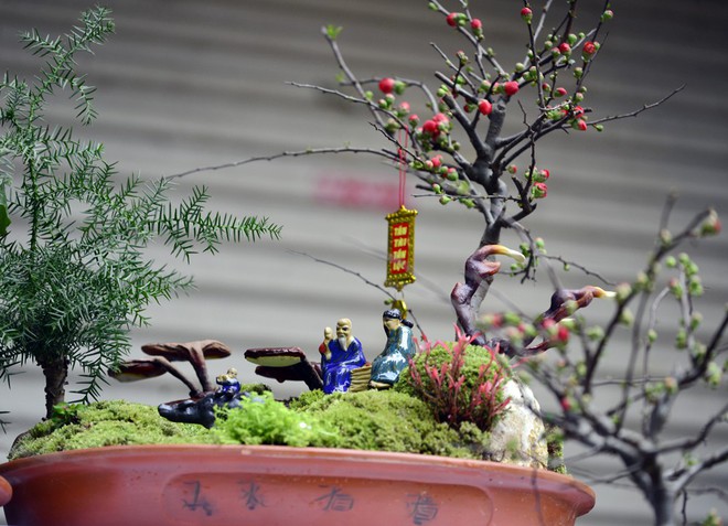 Hà Nội: Nấm linh chi thành bonsai nhỏ xinh hút khách mua về chưng Tết - Ảnh 4.