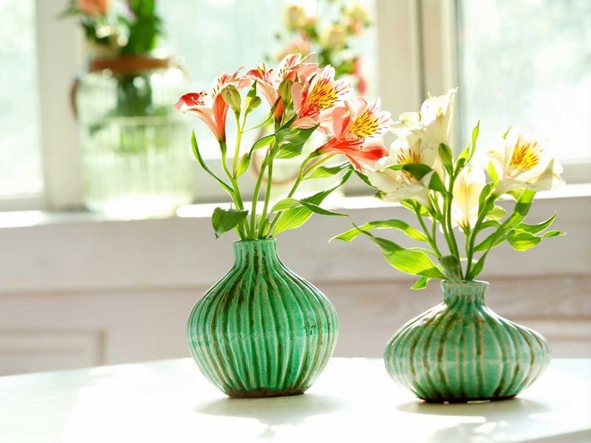Chán hoa cúc, lay ơn hay vạn thọ, hãy trưng 5 loại hoa này vào dịp Tết để mang đến may mắn, tài lộc - Ảnh 3.