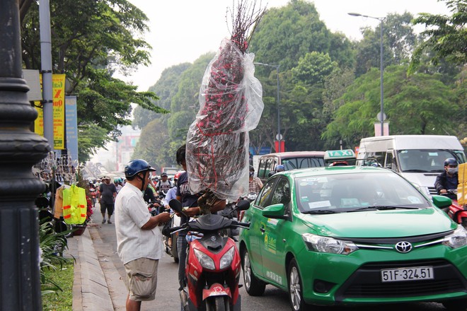 30 triệu đồng một gốc đào, người Sài Gòn vẫn hào hứng mua về chơi Tết - Ảnh 12.