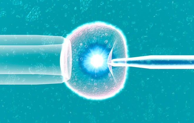 Lần đầu tiên trứng người được nuôi cấy thành công trong phòng thí nghiệm, đem lại hi vọng cho những bệnh nhân ung thư được làm mẹ - Ảnh 2.