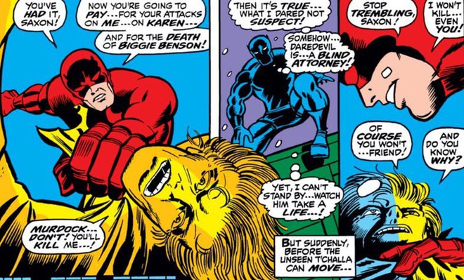Các fan cứng của Marvel có hiểu rõ “bộ mặt thật” của Black Panther? - Ảnh 5.