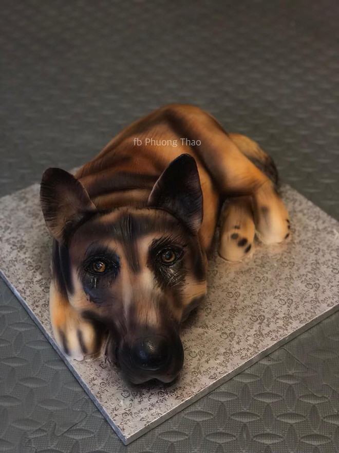 Gặp chủ nhân của chiếc bánh “chú chó 3D” thật và đẹp đến mức hút ngàn like cộng đồng mạng xã hội - Ảnh 4.