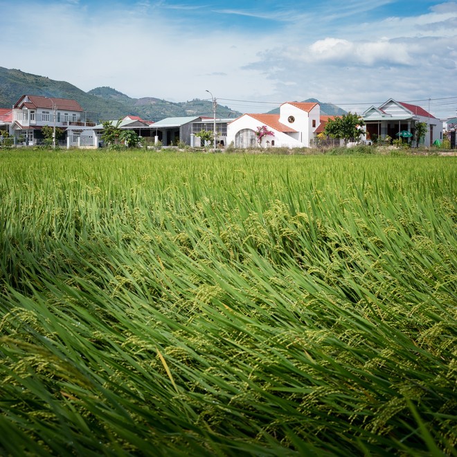 Ngôi nhà quê đẹp như tranh vẽ, khiến người thành phố nhìn cũng phát ghen ở Nha Trang - Ảnh 2.