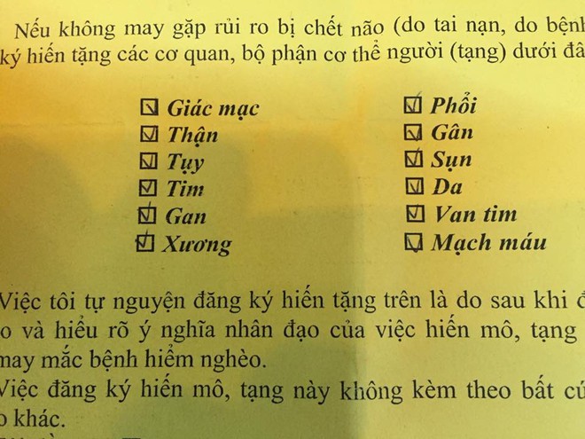 Thủy Bốp, single mom đi cùng ung thư quyết định hiến toàn bộ cơ thể cho y học sau khi qua đời - Ảnh 3.