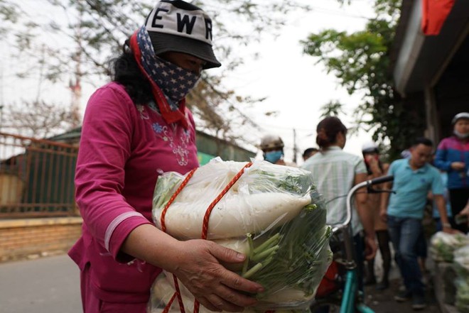 Hàng trăm người dân Hà Nội háo hức giải cứu củ cải trắng cho nông dân Tráng Việt - Ảnh 11.
