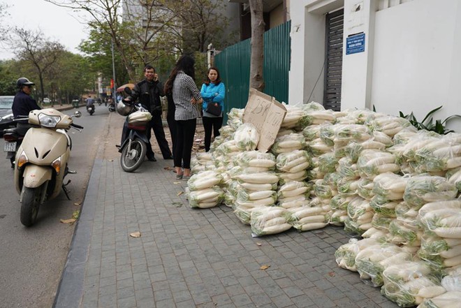 Hàng trăm người dân Hà Nội háo hức giải cứu củ cải trắng cho nông dân Tráng Việt - Ảnh 16.