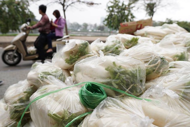 Hàng trăm người dân Hà Nội háo hức giải cứu củ cải trắng cho nông dân Tráng Việt - Ảnh 4.