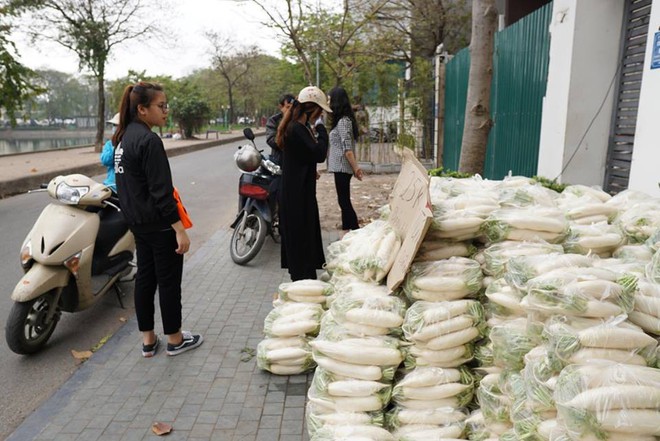 Hàng trăm người dân Hà Nội háo hức giải cứu củ cải trắng cho nông dân Tráng Việt - Ảnh 5.