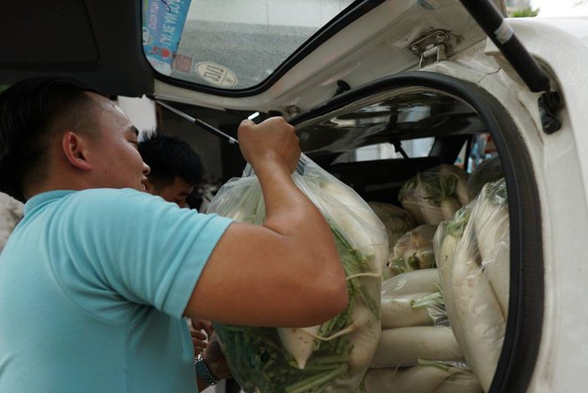 Hàng trăm người dân Hà Nội háo hức giải cứu củ cải trắng cho nông dân Tráng Việt - Ảnh 7.