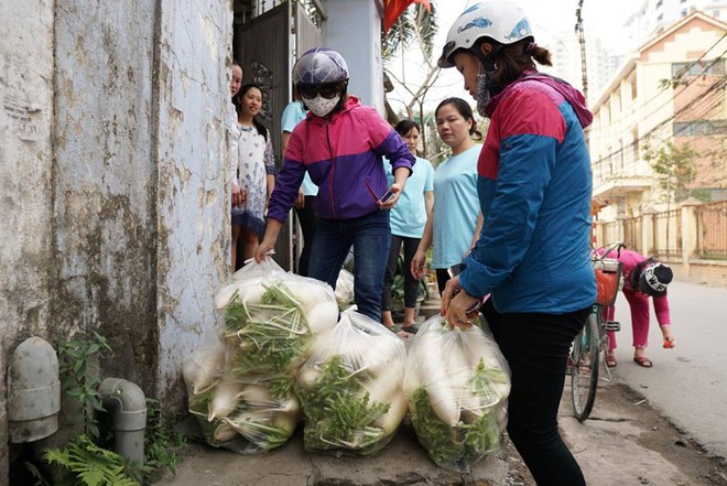 Hàng trăm người dân Hà Nội háo hức giải cứu củ cải trắng cho nông dân Tráng Việt - Ảnh 17.