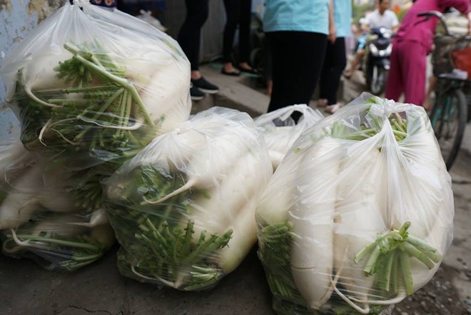 Hàng trăm người dân Hà Nội háo hức giải cứu củ cải trắng cho nông dân Tráng Việt - Ảnh 18.