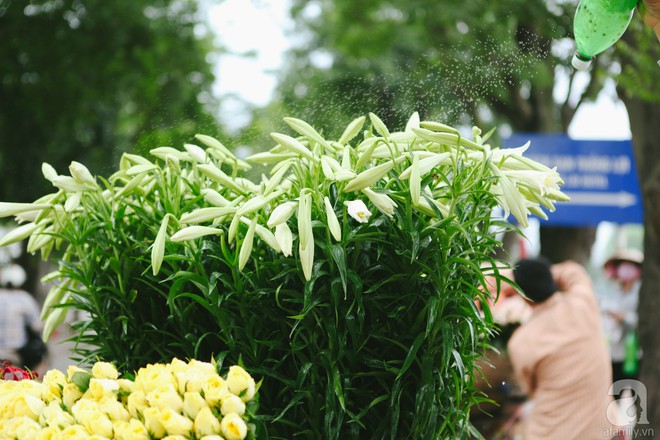 Hoa loa kèn trắng tinh khôi đã về trên phố Hà Nội, chị em nhanh tay mua kẻo hết mùa - Ảnh 13.