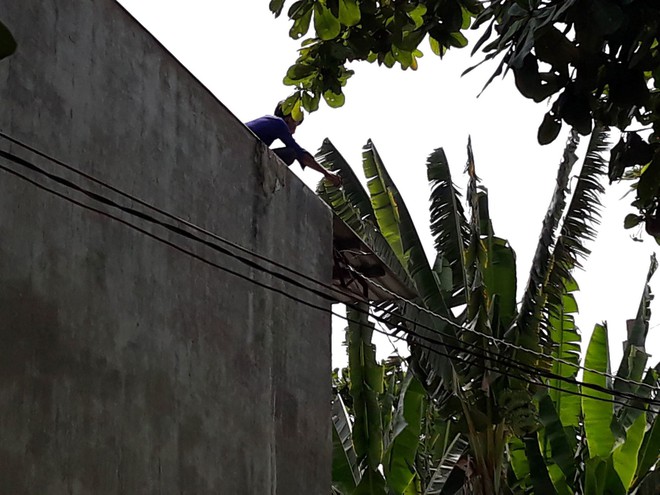 TP.HCM: Nam thanh niên nghi ngáo đá leo lên nhà dân cố thủ nhiều giờ, cầm gạch chống trả công an - Ảnh 1.