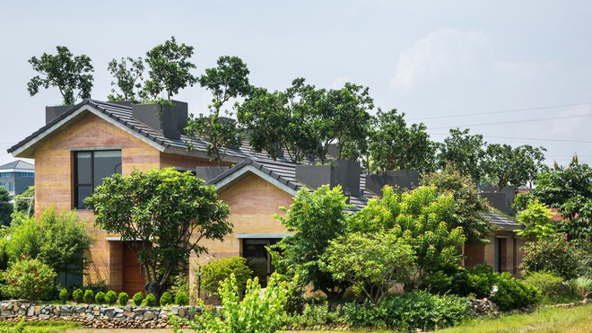 Ngôi nhà không đổ cột bê tông với vườn bưởi trĩu quả trên mái nhà ở Hà Nội - Ảnh 1.