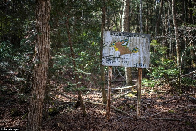 Những bức hình ám ảnh trong khu rừng tự sát: Tỷ lệ tự tử đã giảm ở Nhật nhưng ký ức đau thương vẫn đầy nơi này - Ảnh 1.