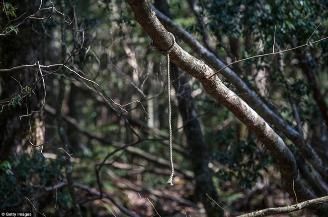 Những bức hình ám ảnh trong khu rừng tự sát: Tỷ lệ tự tử đã giảm ở Nhật nhưng ký ức đau thương vẫn đầy nơi này - Ảnh 17.