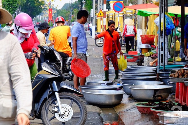 Mang cả xe đẩy bán cá phóng sinh, hốt bạc tại lễ hội Rằm Tháng Giêng - Ảnh 2.