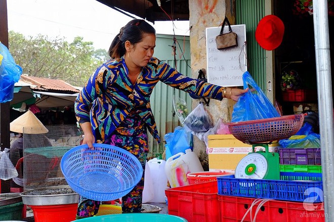 Mang cả xe đẩy bán cá phóng sinh, hốt bạc tại lễ hội Rằm Tháng Giêng - Ảnh 9.