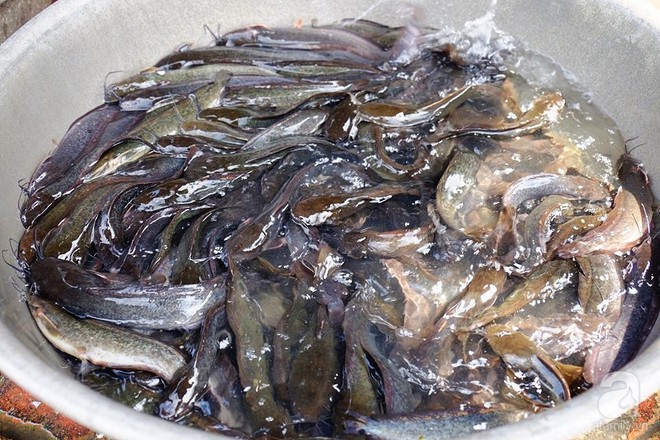 Mang cả xe đẩy bán cá phóng sinh, hốt bạc tại lễ hội Rằm Tháng Giêng - Ảnh 6. Mang cả xe đẩy bán cá phóng sinh, hốt bạc tại lễ hội Rằm Tháng Giêng - Ảnh 6.