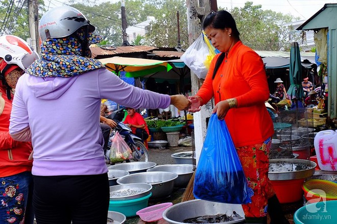 Mang cả xe đẩy bán cá phóng sinh, hốt bạc tại lễ hội Rằm Tháng Giêng - Ảnh 12.