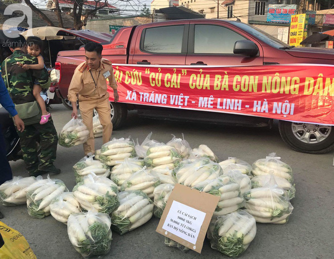 Hà Nội: CSGT giải cứu củ cải cho bà con nông dân Tráng Việt - Ảnh 3.
