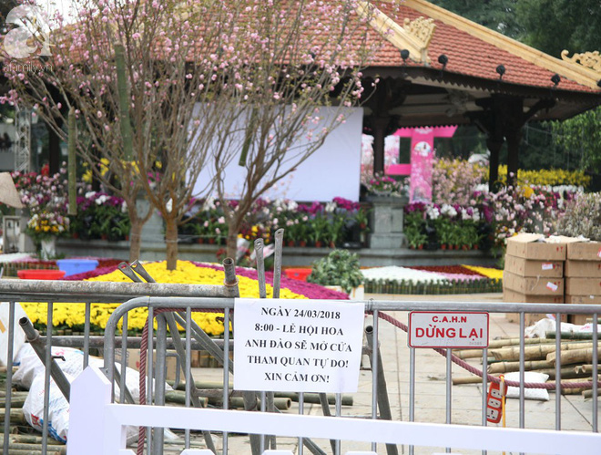 Hà Nội: Nhầm lịch tổ chức lễ hội hoa anh đào, hàng trăm chị em ngậm ngùi check in quanh hàng rào - Ảnh 6.