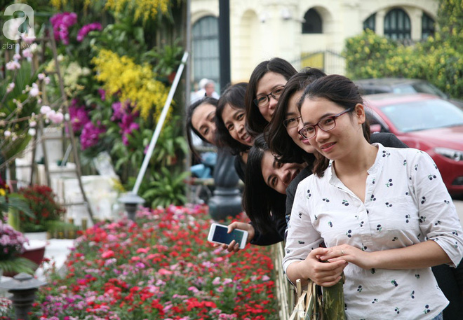 Hà Nội: Nhầm lịch tổ chức lễ hội hoa anh đào, hàng trăm chị em ngậm ngùi check in quanh hàng rào - Ảnh 11.