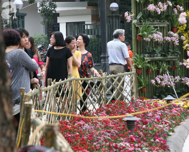 Hà Nội: Nhầm lịch tổ chức lễ hội hoa anh đào, hàng trăm chị em ngậm ngùi check in quanh hàng rào - Ảnh 13.