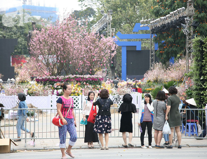 Hà Nội: Nhầm lịch tổ chức lễ hội hoa anh đào, hàng trăm chị em ngậm ngùi check in quanh hàng rào - Ảnh 9.