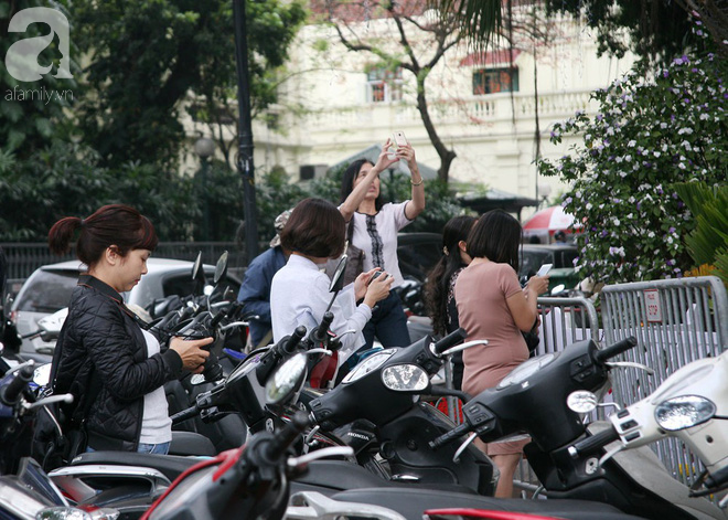 Hà Nội: Nhầm lịch tổ chức lễ hội hoa anh đào, hàng trăm chị em ngậm ngùi check in quanh hàng rào - Ảnh 8.
