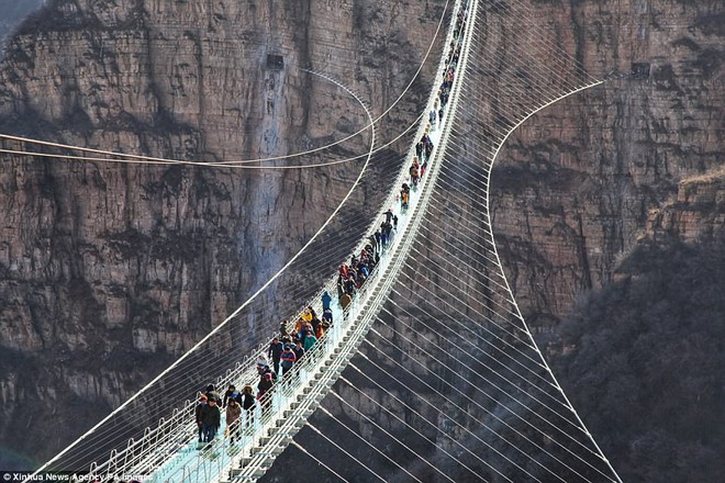 Cảnh tượng nhìn thôi đã bủn rủn chân tay: Cả trăm khách du lịch chen nhau trên cây cầu kính trong suốt dài nhất thế giới - Ảnh 7.