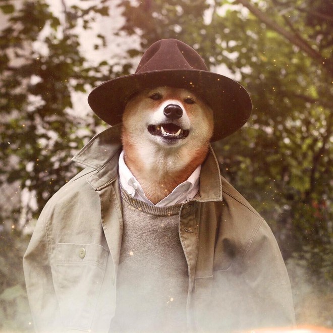 Chú chó Shiba là gương mặt đại diện cho nhiều hãng thời trang lớn, kiếm hơn 300 triệu mỗi tháng - Ảnh 11.