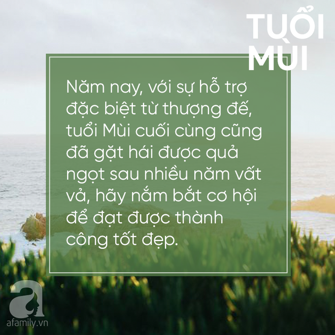 Năm nay có quý nhân bên cạnh, 3 con giáp này nhất định thăng quan tiến chức, tiền trong ngân hàng tăng thêm vài số - Ảnh 3.