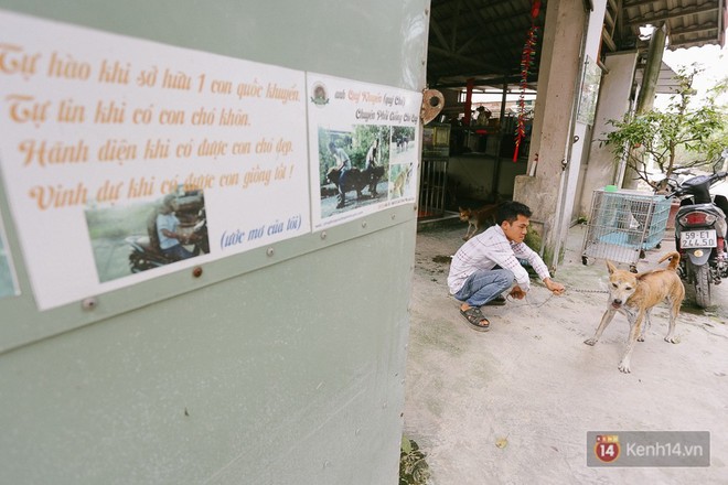 Gặp chàng trai từ phụ bếp trở thành “triệu phú” sở hữu trang trại nuôi chó Phú Quốc trị giá hàng tỷ đồng - Ảnh 3.