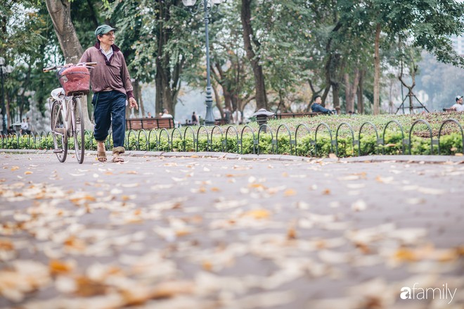 Hà Nội lúc này cứ ngỡ như cuối thu, lá vàng lá đỏ ngập trong nắng đẹp và lãng đãng hơn cả cảnh phim Hàn - Ảnh 14.