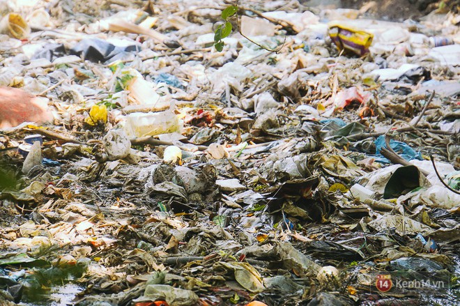 Sân bay Tân Sơn Nhất đối mặt với nguy cơ ngập vào mùa mưa do hàng tấn rác thải bịt kín kênh thoát nước - Ảnh 8.