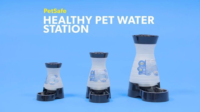 Loạt dụng cụ chất phát ngất giúp các boss chó mèo lầy lội ngưng uống nước bẩn trong nhà vệ sinh - Ảnh 5.