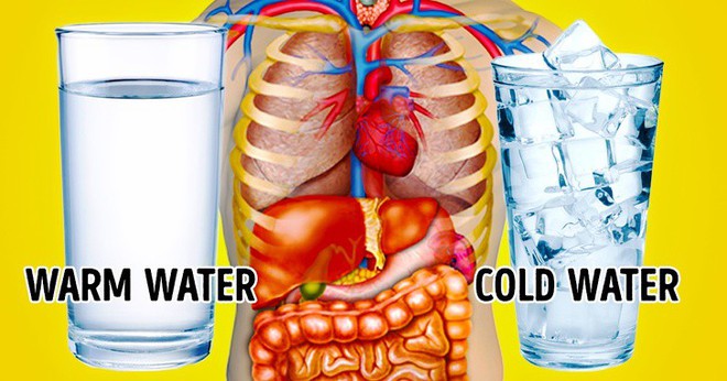 Uống nước ấm hay lạnh: Hãy lựa chọn và xem điều gì xảy ra với cơ thể của bạn - Ảnh 10.