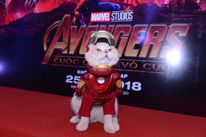 Cả dàn sao Việt đều bị lu mờ trước nhân vật đặc biệt này trong họp báo Avengers - Ảnh 3.