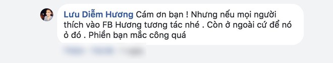 Bị dân mạng công kích, Diễm Hương gay gắt đáp lại: Chị không phải Hoa hậu mới nhú để mà bắt nạt - Ảnh 5.