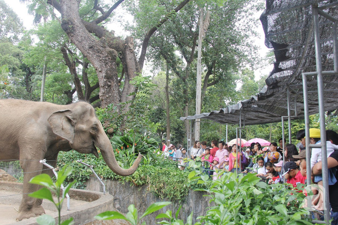 Nghỉ lễ, hàng vạn người đổ về Thảo Cầm Viên, đem theo cả chiếu gối để ngủ khiến nơi đây vỡ trận, chen nhau ngạt thở - Ảnh 8. Nghỉ lễ, hàng vạn người đổ về Thảo Cầm Viên, đem theo cả chiếu gối để ngủ khiến nơi đây vỡ trận, chen nhau ngạt thở - Ảnh 8.