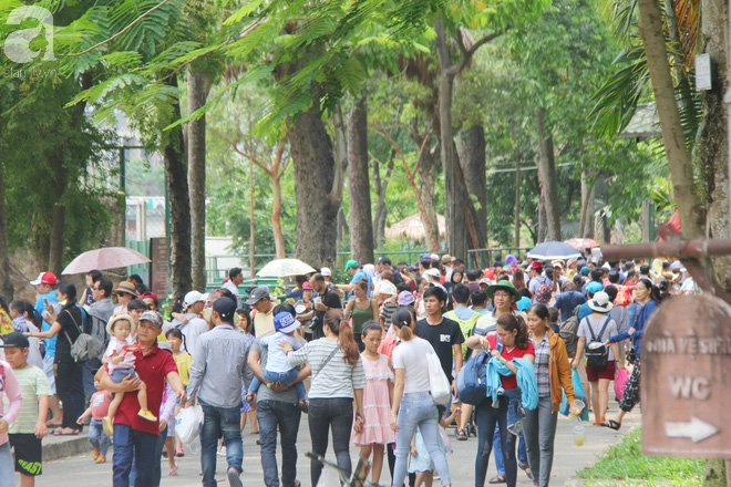 Nghỉ lễ, hàng vạn người đổ về Thảo Cầm Viên, đem theo cả chiếu gối để ngủ khiến nơi đây vỡ trận, chen nhau ngạt thở - Ảnh 3. Nghỉ lễ, hàng vạn người đổ về Thảo Cầm Viên, đem theo cả chiếu gối để ngủ khiến nơi đây vỡ trận, chen nhau ngạt thở - Ảnh 3.