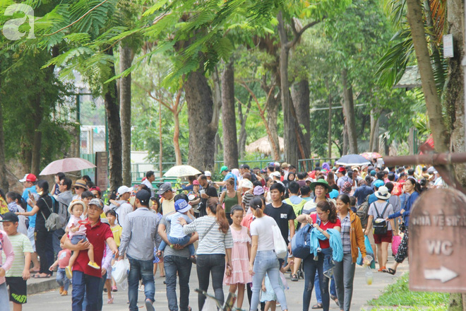 Nghỉ lễ, hàng vạn người đổ về Thảo Cầm Viên, đem theo cả chiếu gối để ngủ khiến nơi đây vỡ trận, chen nhau ngạt thở - Ảnh 3.