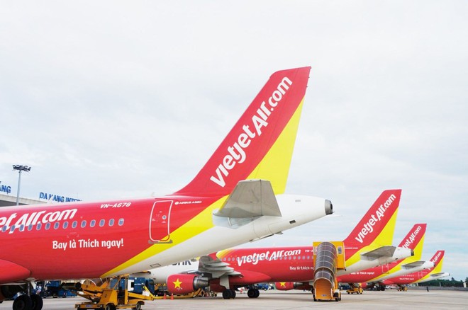 Vietjet hủy nhiều chuyến bay do chim va máy bay - Ảnh 1.