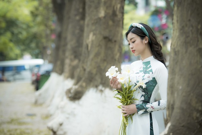 Hoa hậu Mỹ Linh, Ngọc Hân đẹp mê mẩn với hoa loa kèn trên phố - Ảnh 2.