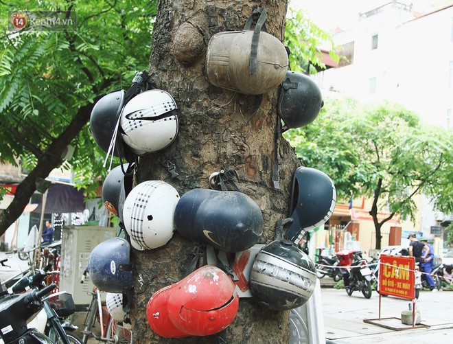 Chuyện về cụ ông Hà Nội phía sau cây cổ thụ treo hàng chục chiếc mũ bảo hiểm sứt mẻ trên đường Trần Hưng Đạo - Ảnh 4.