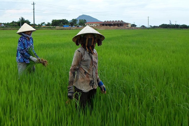 Vất vả tha phương cầu thực nơi đất khách quê người, tôi không ngờ chồng làm những việc kinh khủng này sau lưng mình (P1) - Ảnh 1.