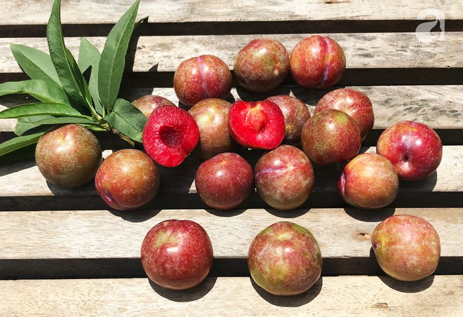 4 món siêu ngon phải tranh thủ ăn ngay trước khi mận bắt đầu vào mùa. - Ảnh 1.